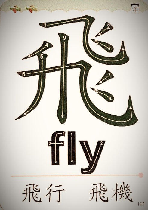 浮雕/凹感的印刷品