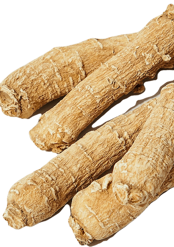 花旗參透明盒包裝 花旗參透明盒包裝重新設計